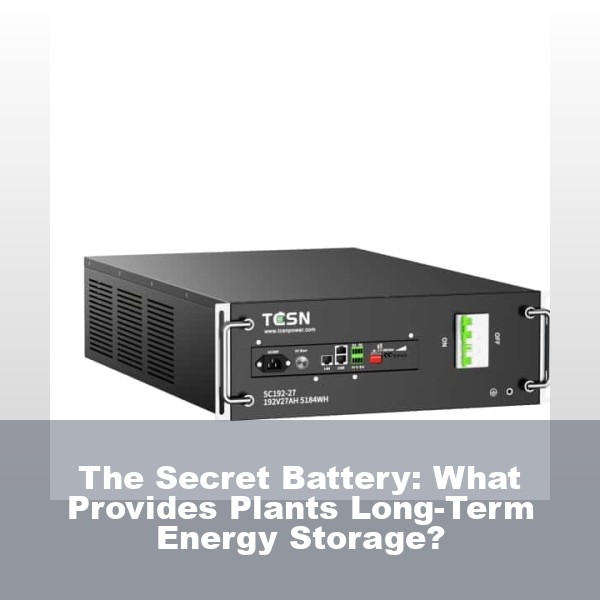 The Secret Battery: What Provides Plants Long-Term Energy Storage?